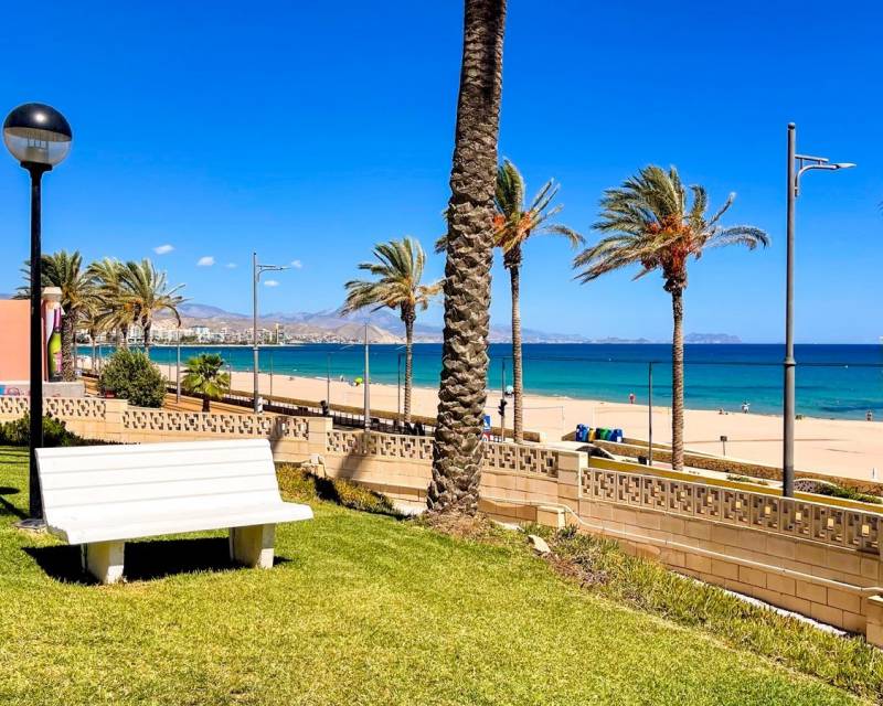 Bungalow - Rental - El Campello - Playa de Muchavista